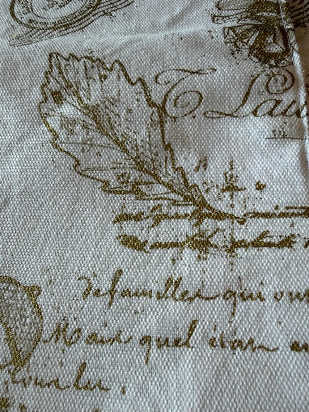 Envogue Cream and Gold Script Placemat Set
